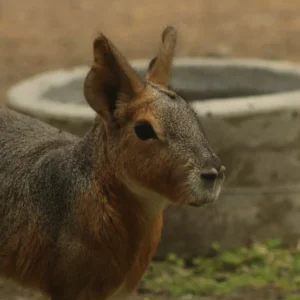 IMG_20230925_005241_668