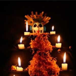 Screenshot_20231031-074330